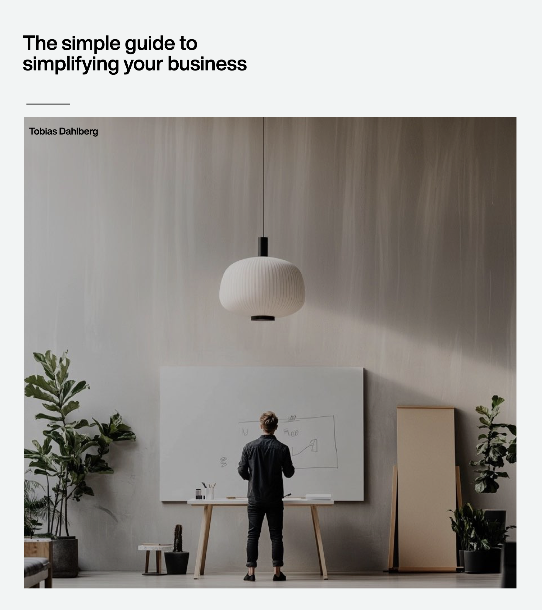 The Simple Company® - Entrepreneurial Growth & Freedom